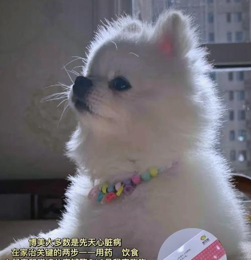 文章详情图片