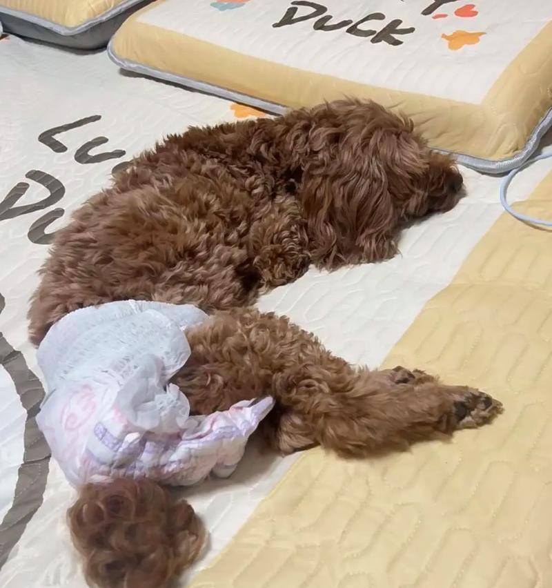 文章详情图片