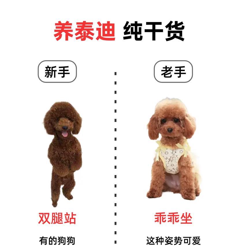 文章详情图片