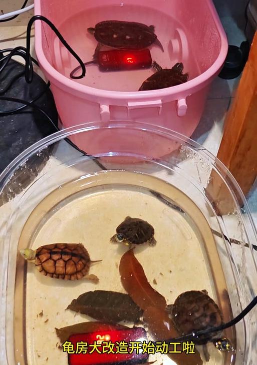 文章详情图片