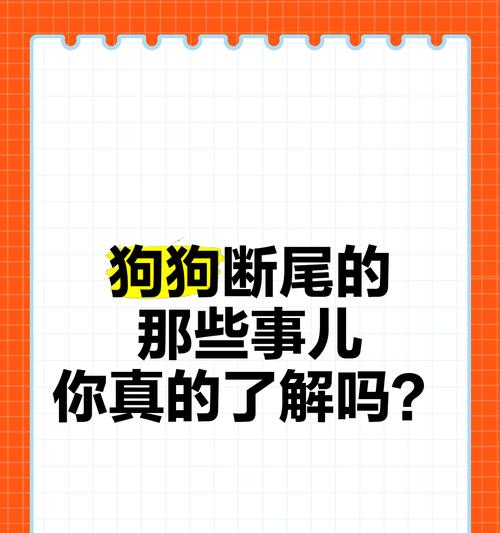 文章详情图片