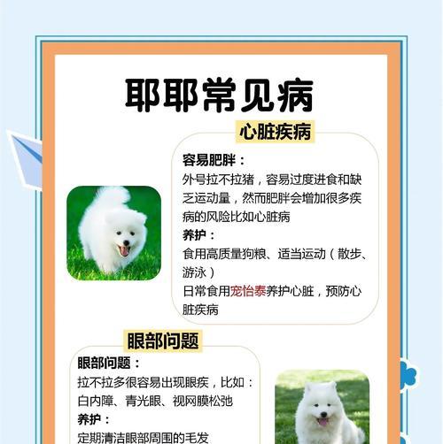 文章详情图片