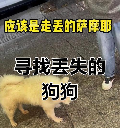 文章详情图片