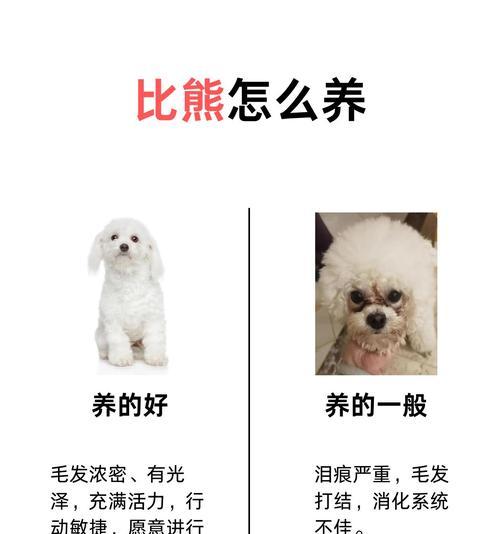 文章详情图片
