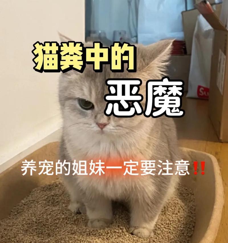 文章详情图片