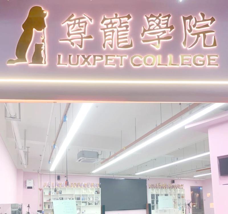 文章详情图片