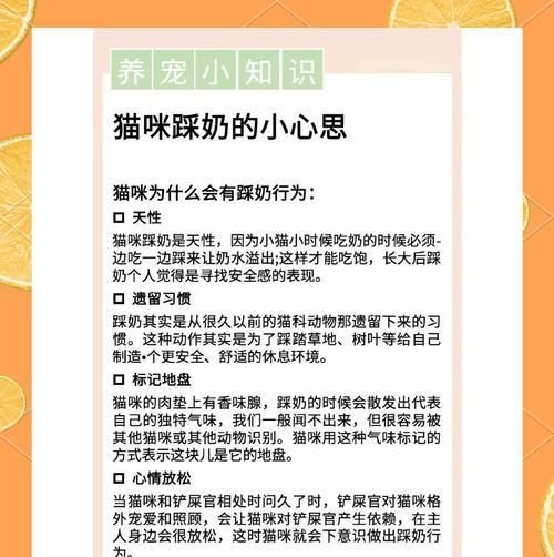 文章详情图片