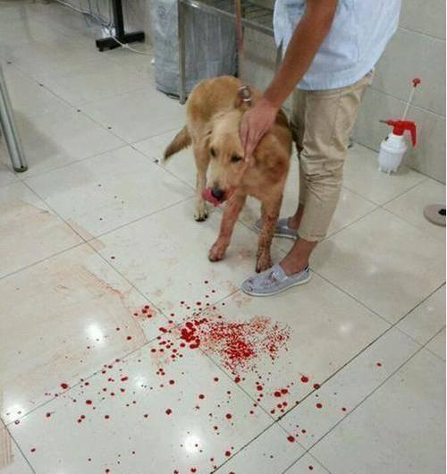 文章详情图片
