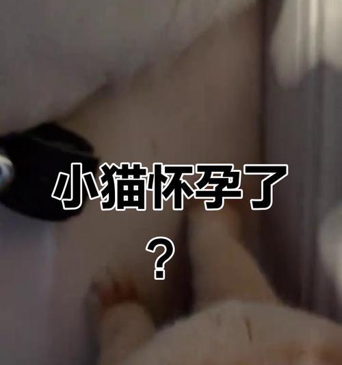 文章详情图片