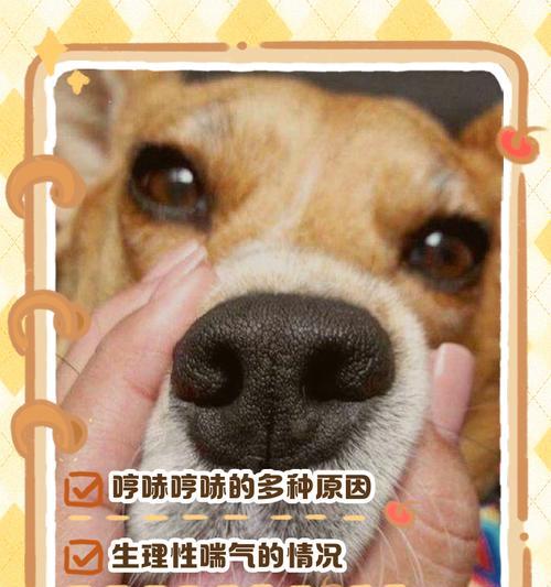 文章详情图片