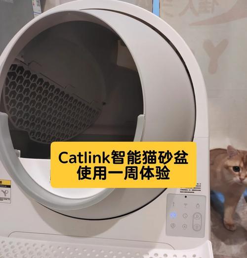 文章详情图片