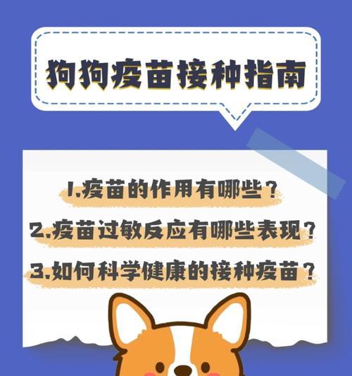 文章详情图片