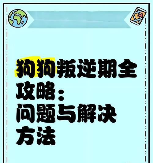 文章详情图片