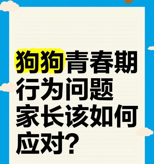 文章详情图片