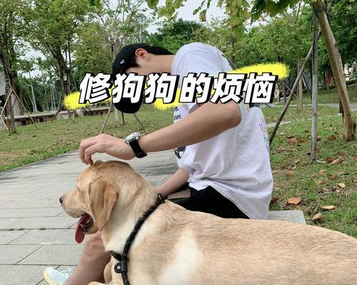 文章详情图片