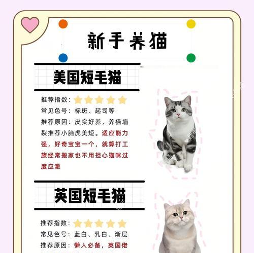 文章详情图片