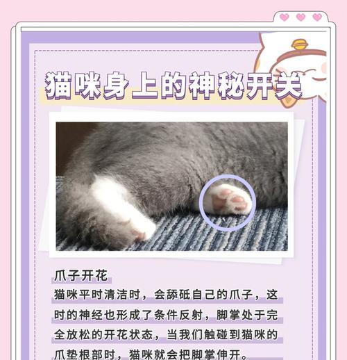 文章详情图片