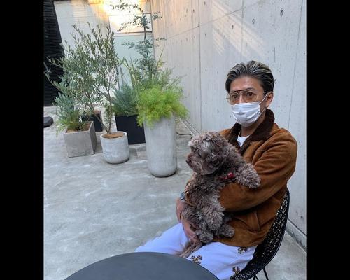 文章详情图片