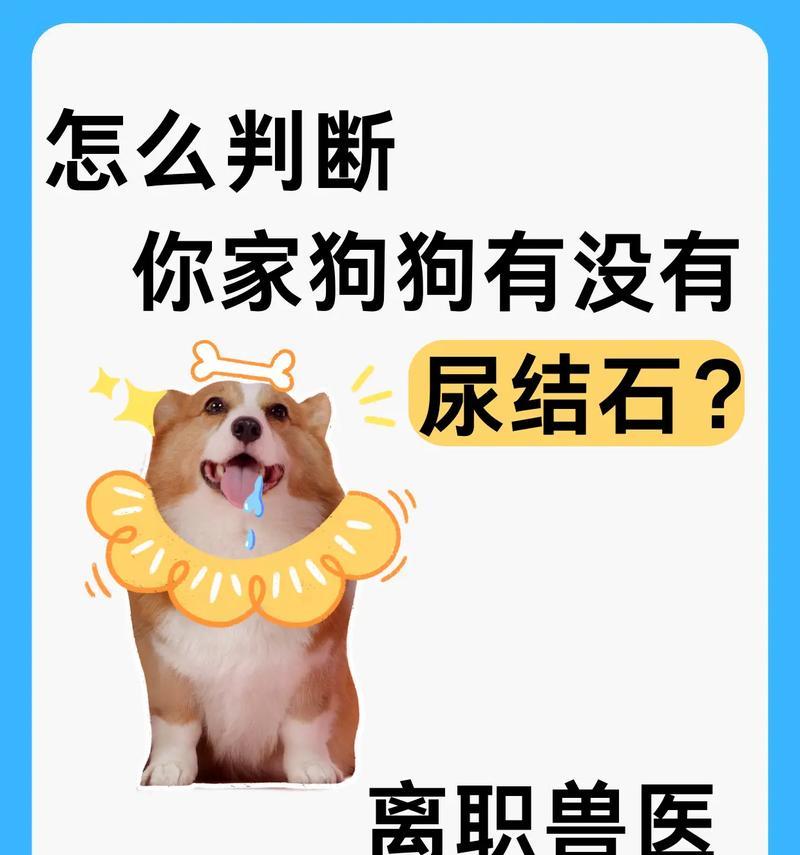 文章详情图片