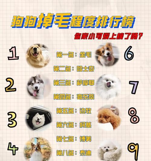 文章详情图片