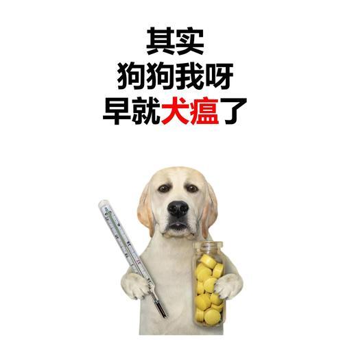 文章详情图片