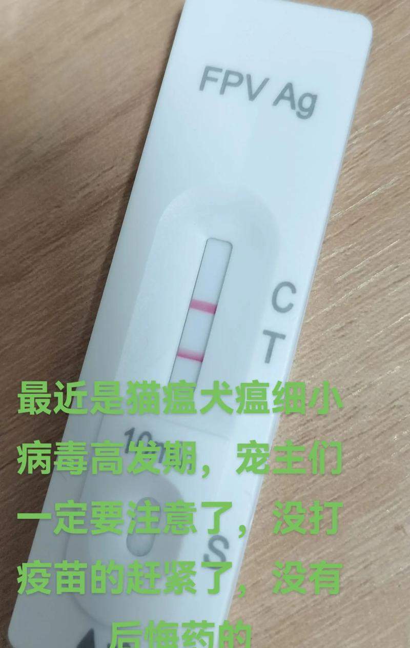 文章详情图片