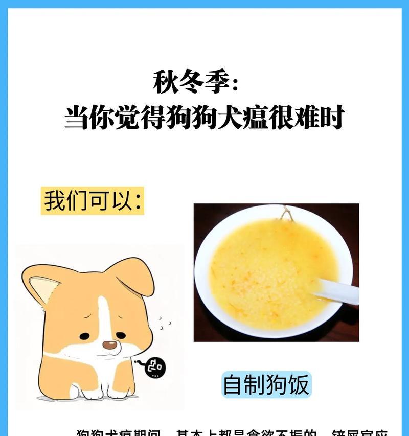 文章详情图片