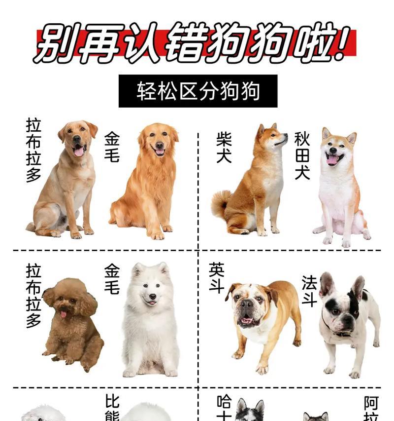 文章详情图片