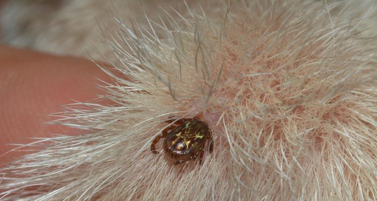 文章详情图片