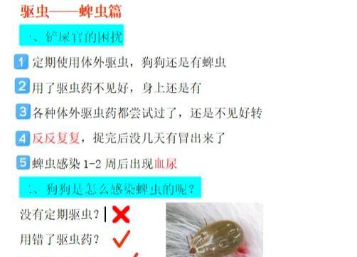 文章详情图片