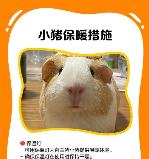 文章详情图片