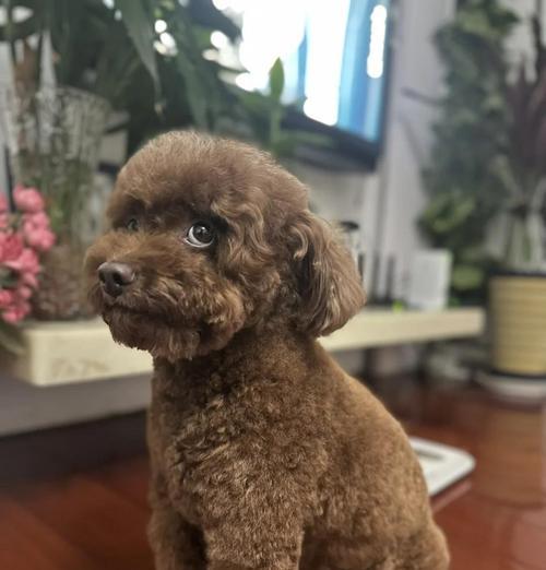 文章详情图片