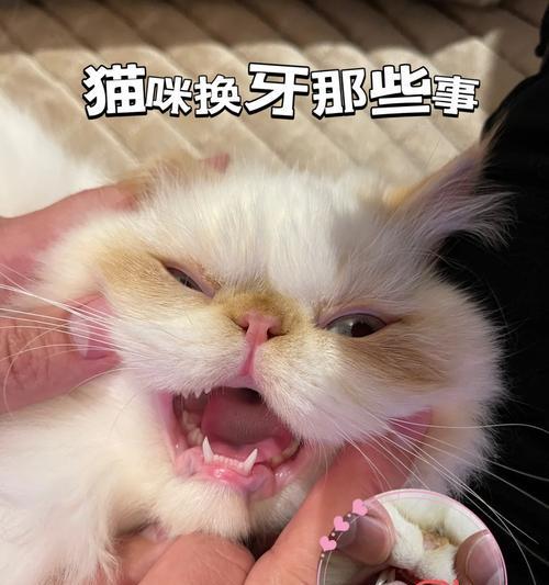 文章详情图片