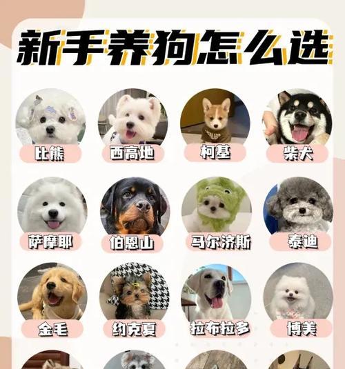文章详情图片