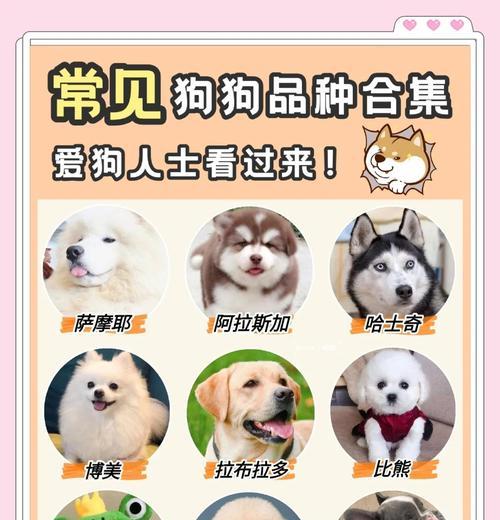 文章详情图片