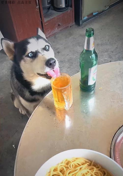 文章详情图片