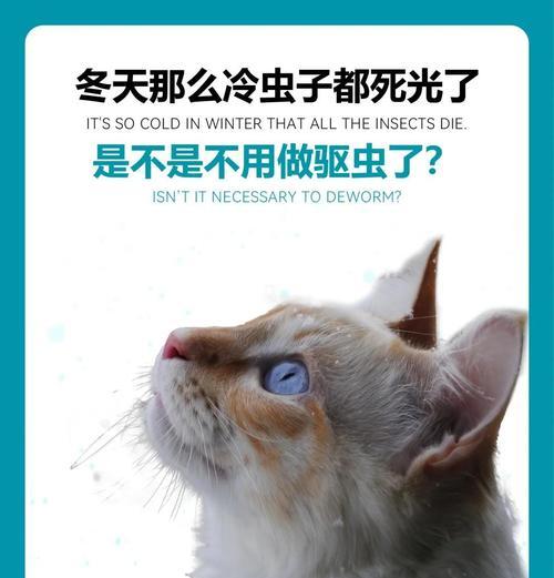 文章详情图片