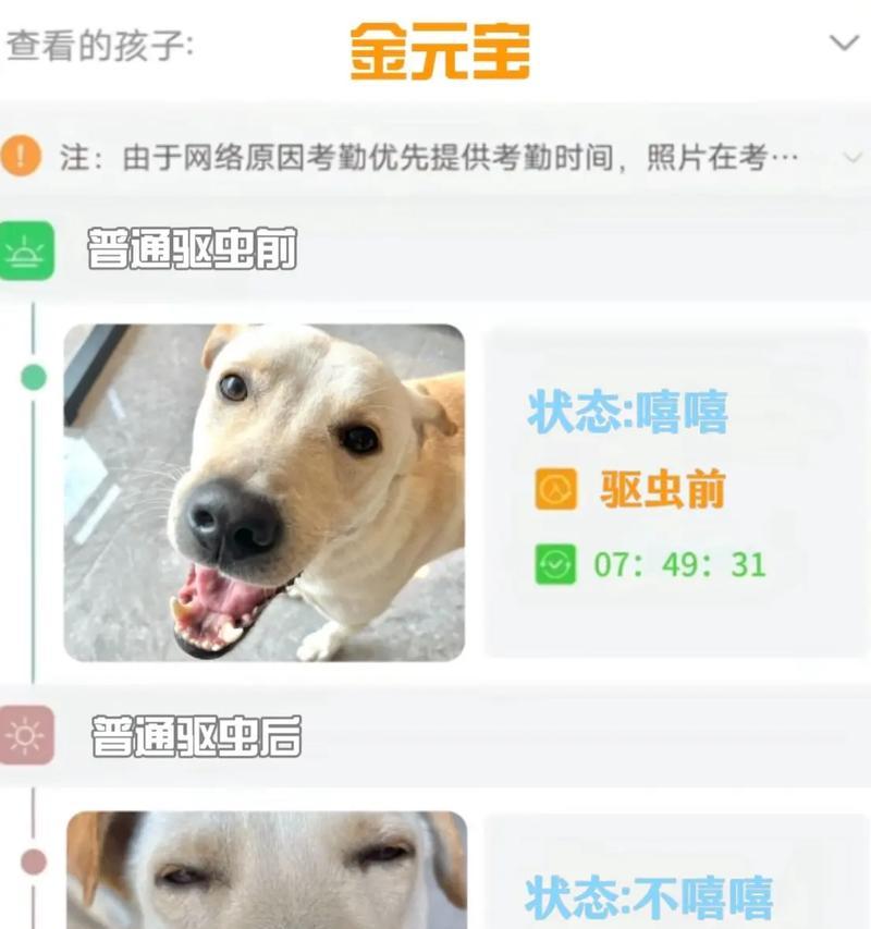 文章详情图片