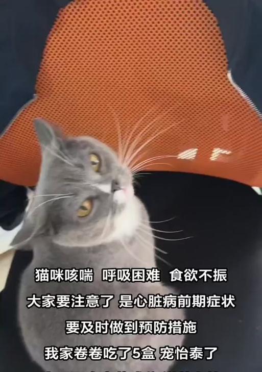 文章详情图片