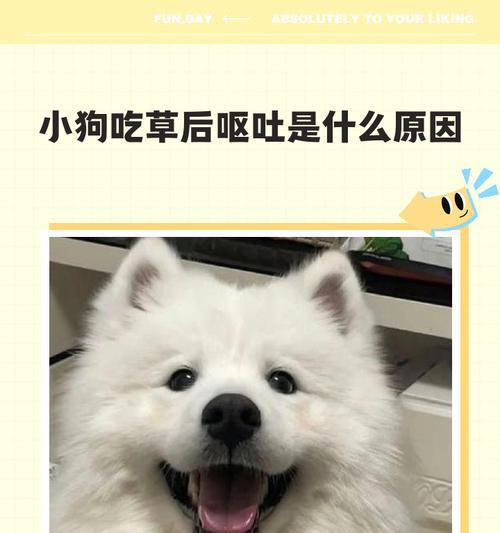 文章详情图片
