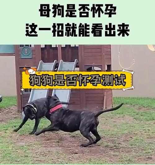 文章详情图片