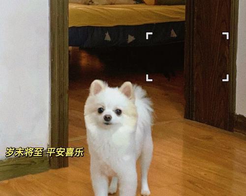 文章详情图片