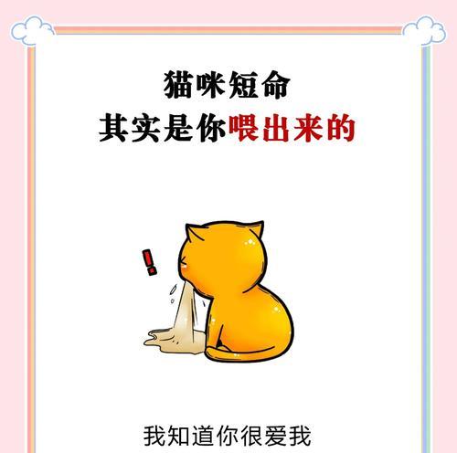 文章详情图片