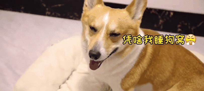 文章详情图片