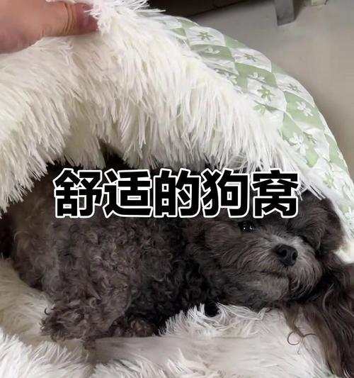 文章详情图片