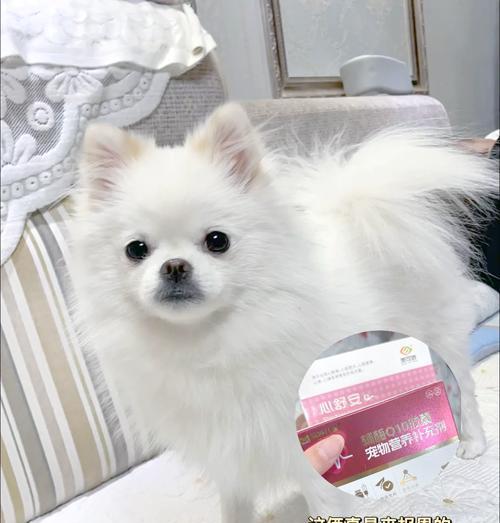 文章详情图片