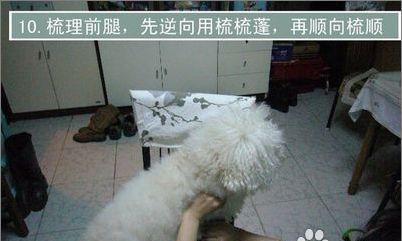 文章详情图片