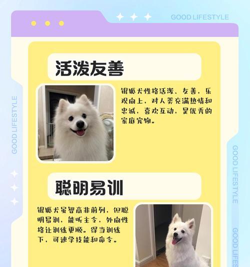 文章详情图片