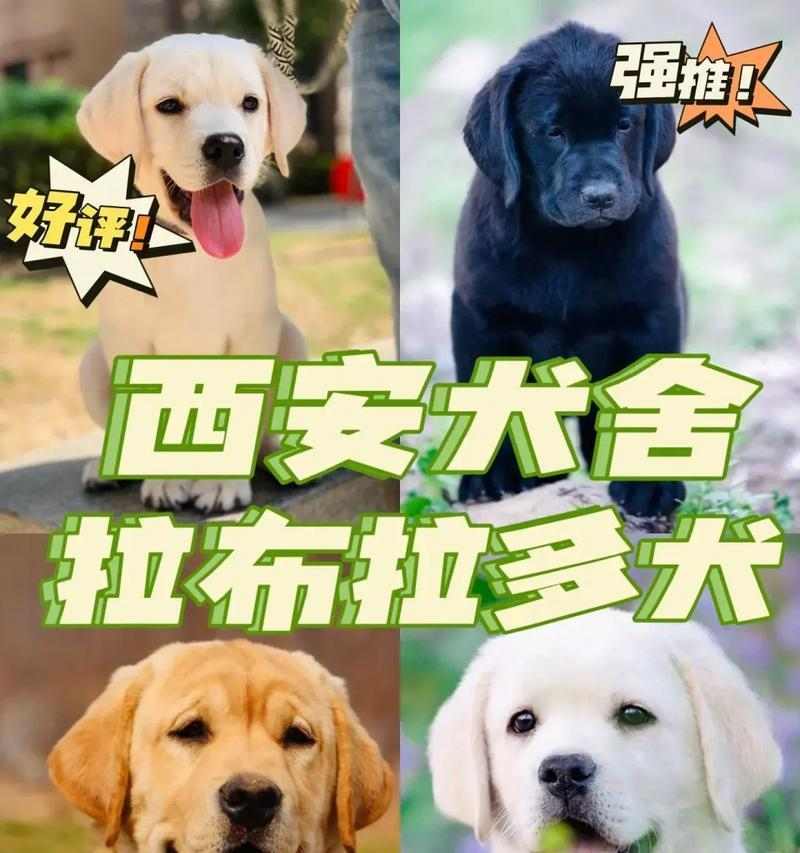 文章详情图片