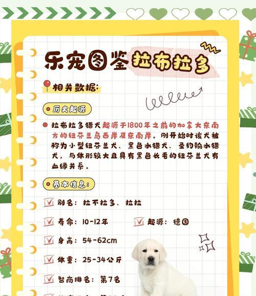 文章详情图片